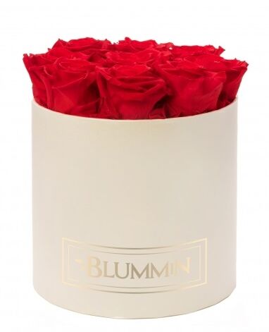 MEDIUM BLUMMiN - cream box with 9 VIBRANT RED roses, sleeping roses